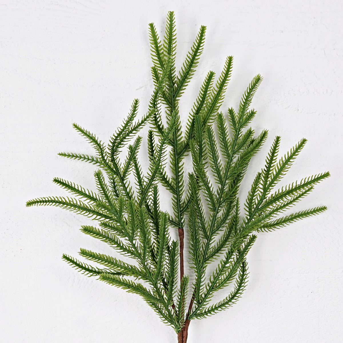 Evergreen Norfolk Pine Soft Touch Spray, Feathered Farmhouse