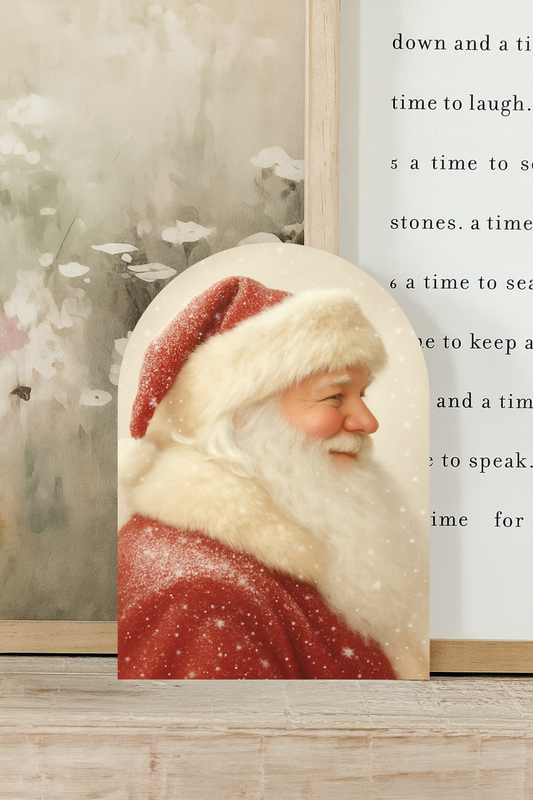 Snowy Santa Arch, Feathered Farmhouse