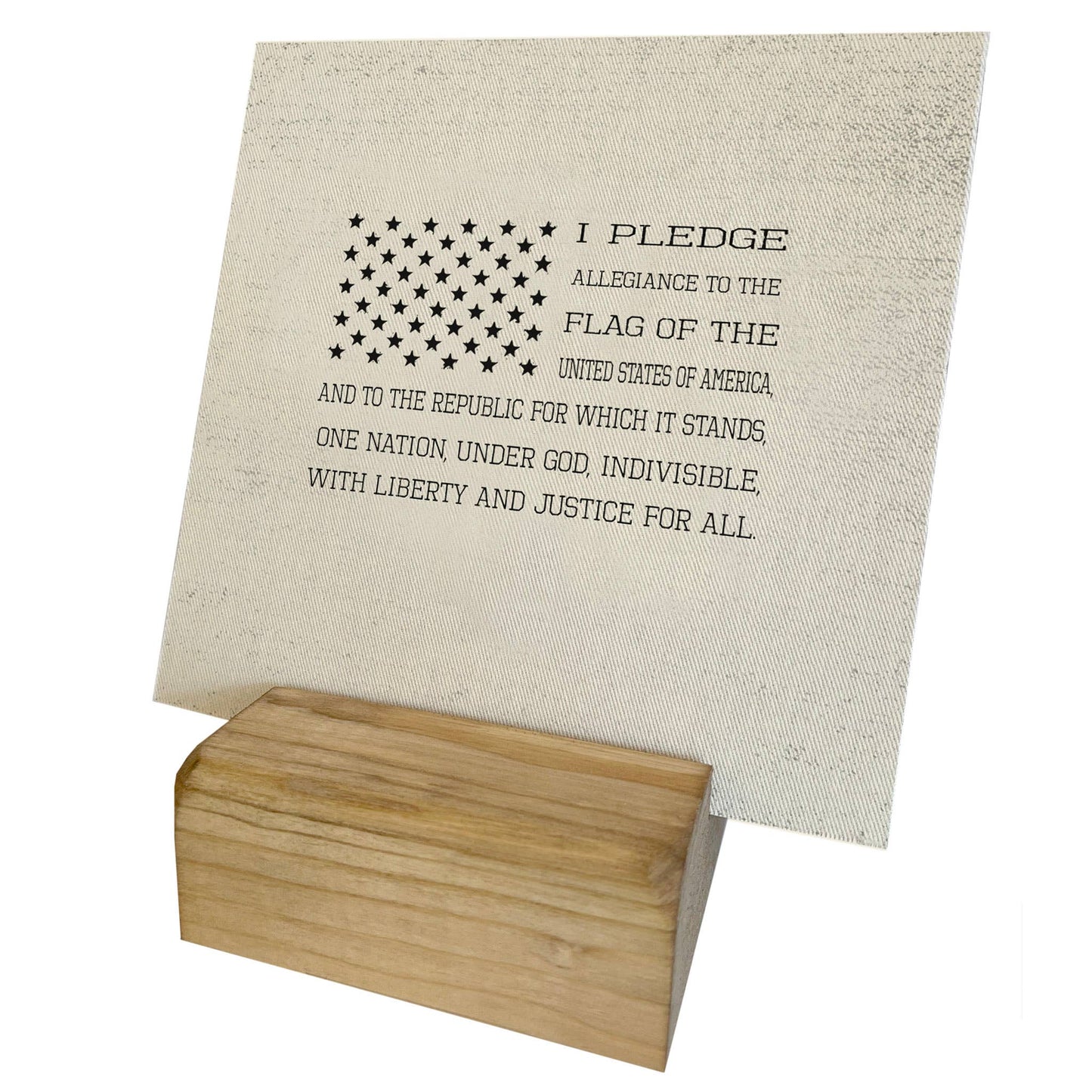 Pledge of Allegiance Mini Canvas, Feathered Farmhouse