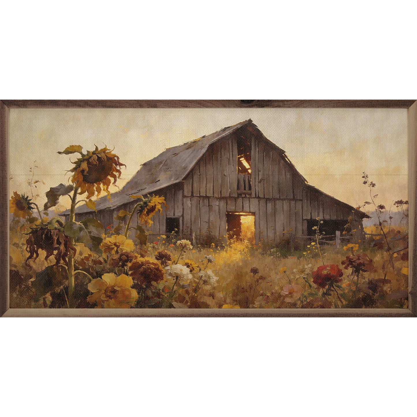 Weathered Barn In Sunflower Autumn Field, Feathered Farmhouse