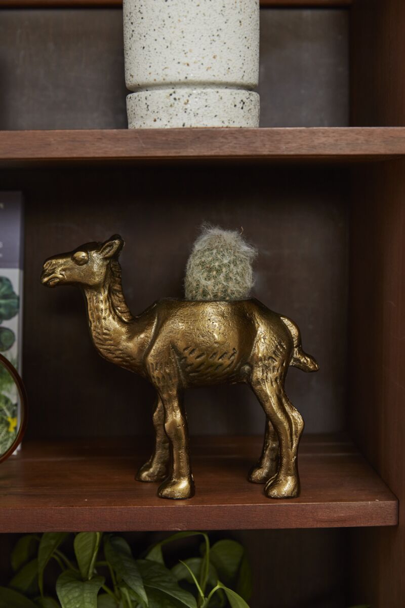 Camel Planter, Feathered Farmhouse