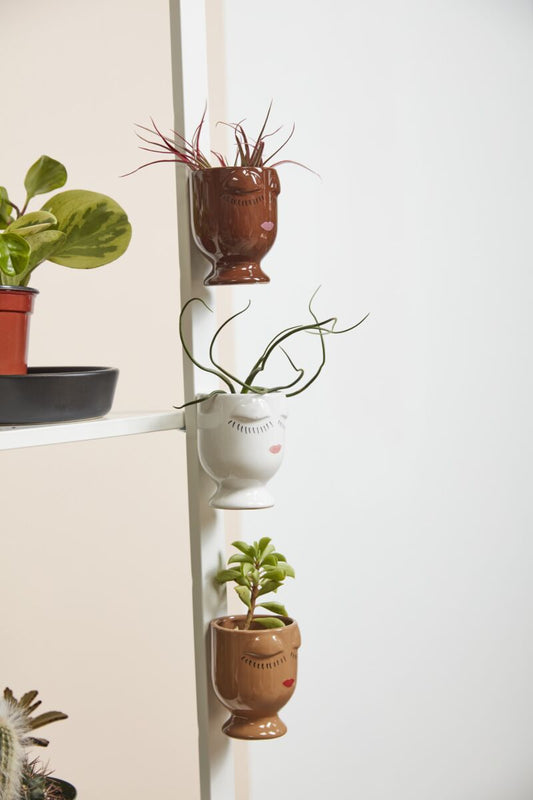 Celfie Magnetic Pot, The Feathered Farmhouse