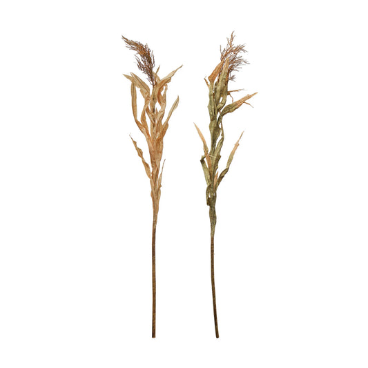Cornstalk, The Feathered Farmhouse