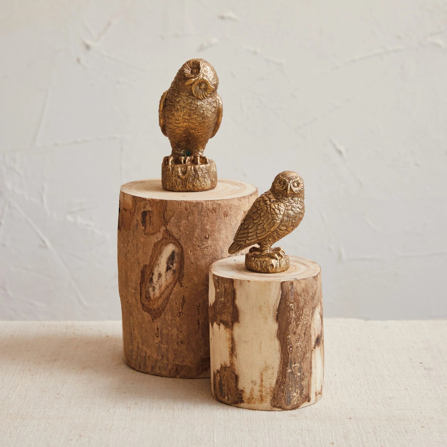 Resin Owl, The Feathered Farmhouse