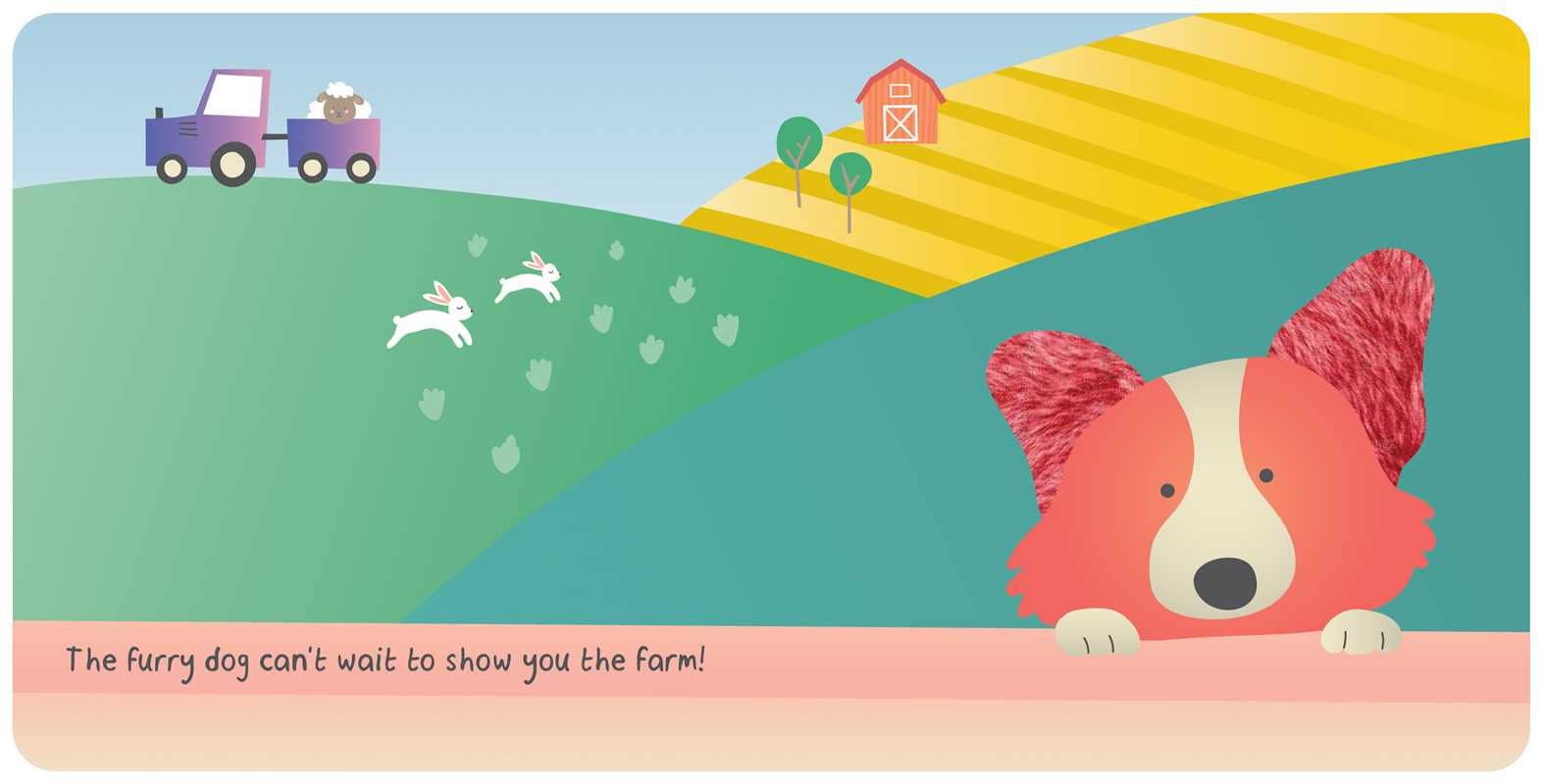 Farm Animals: My First Touch & Feel Book, Feathered Farmhouse