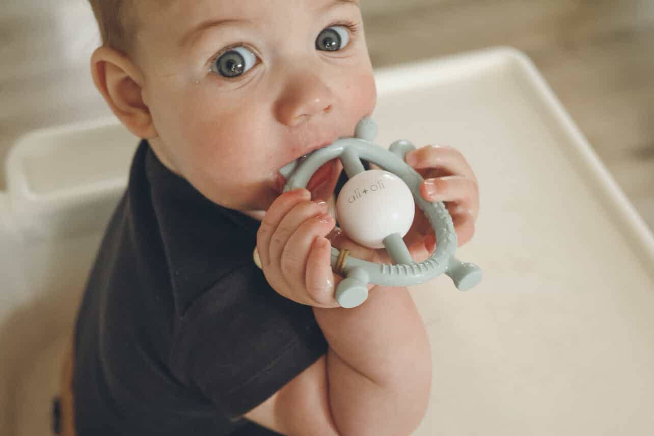 Giraffe Teether & Rattle Food-Grade Silicone Toy, Feathered Farmhouse