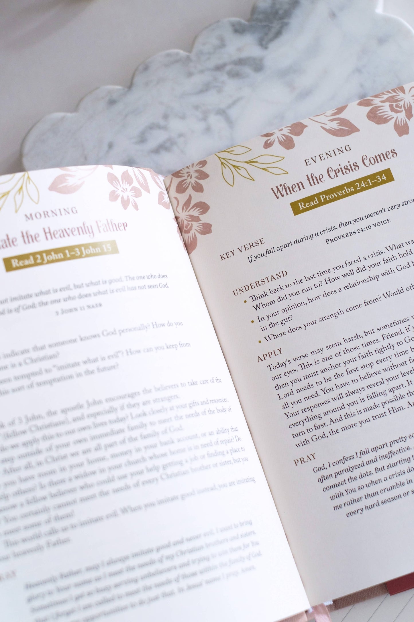 The 5-Minute Bible Study for Women, Feathered Farmhouse