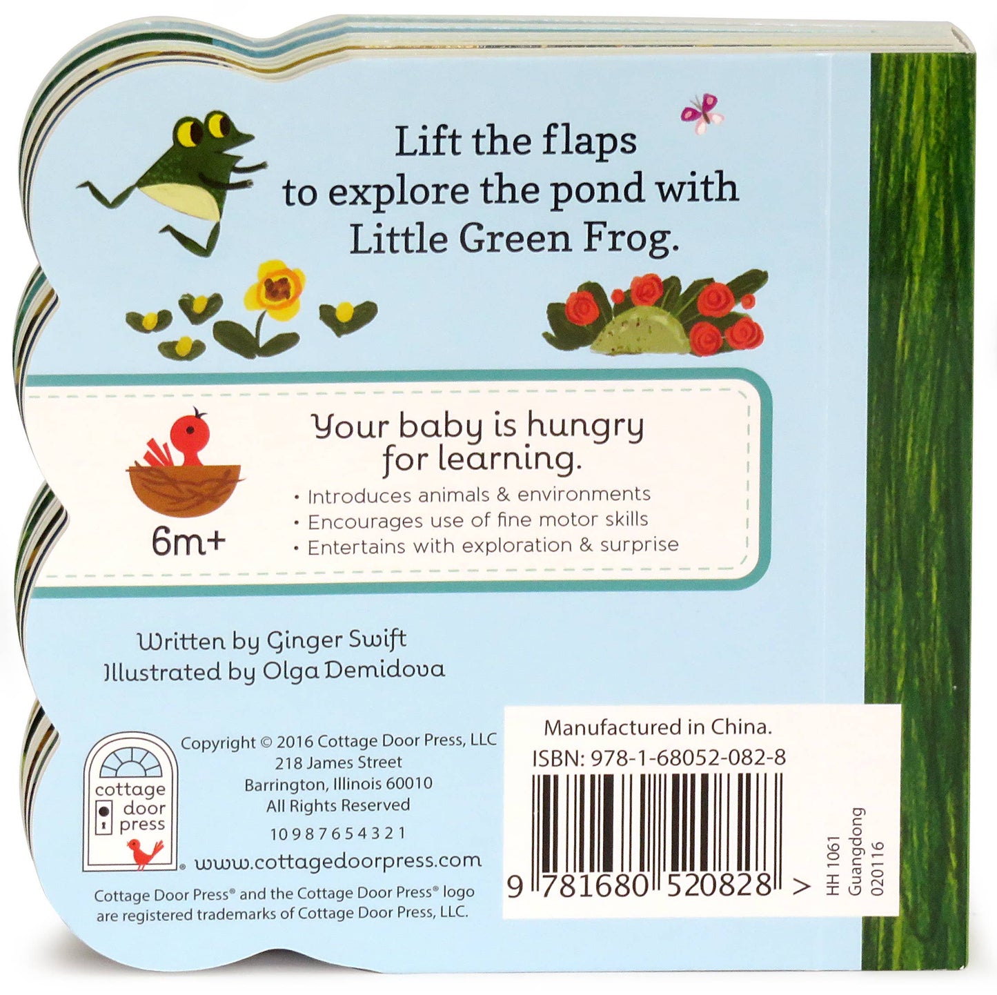 Little Green Frog Lift-a-Flap Board Book