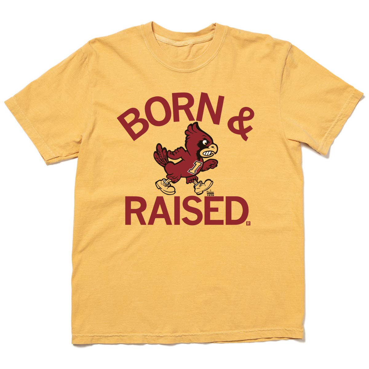 Cyclones Born & Raised, Feathered Farmhouse