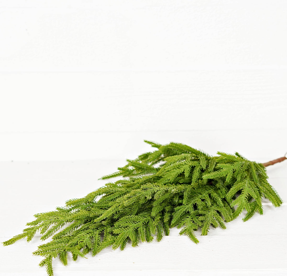 Evergreen Norfolk Pine Soft Touch Teardrop Swag, Feathered Farmhouse