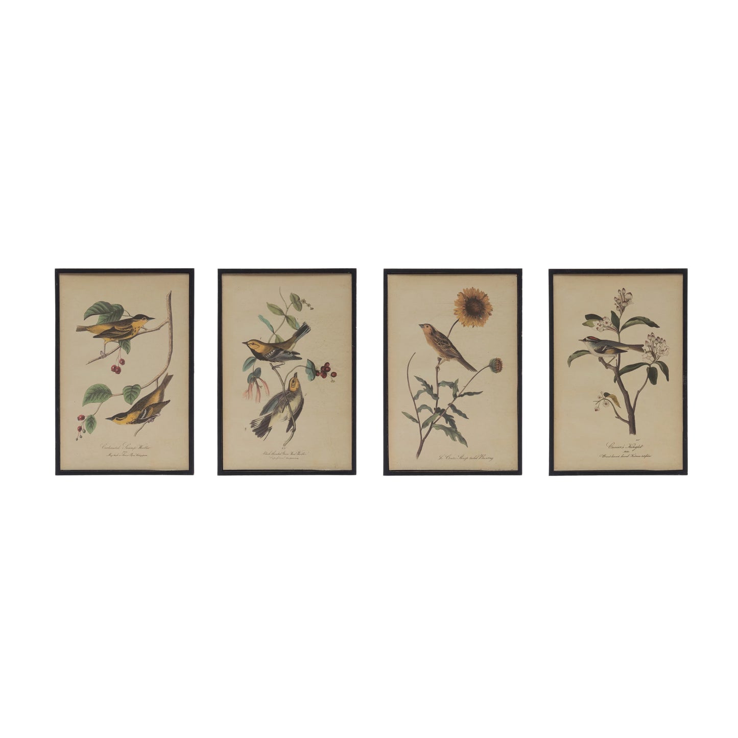 Bird + Flower Framed Prints, The Feathered Farmhouse