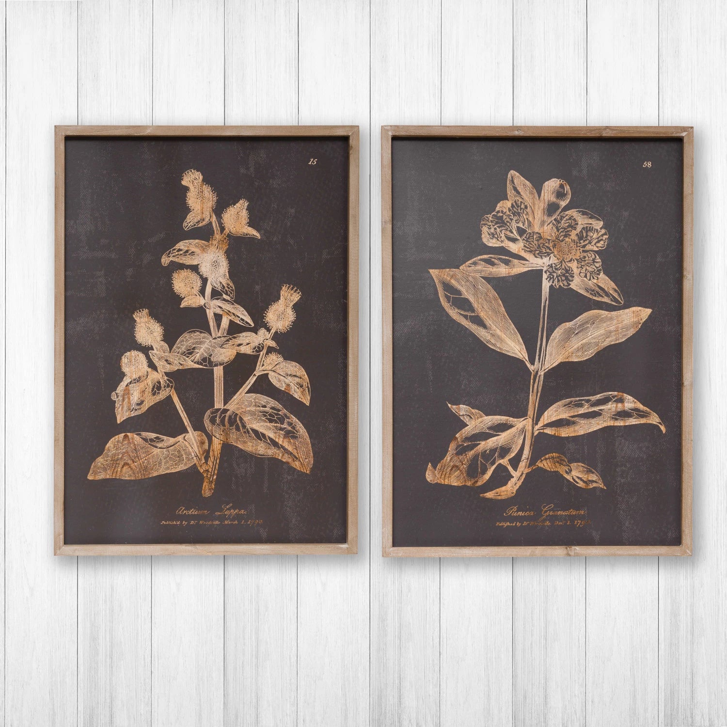 Botanical Wall Print, The Feathered Farmhouse