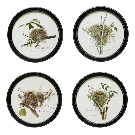 Framed Nest Prints, The Feathered Farmhouse