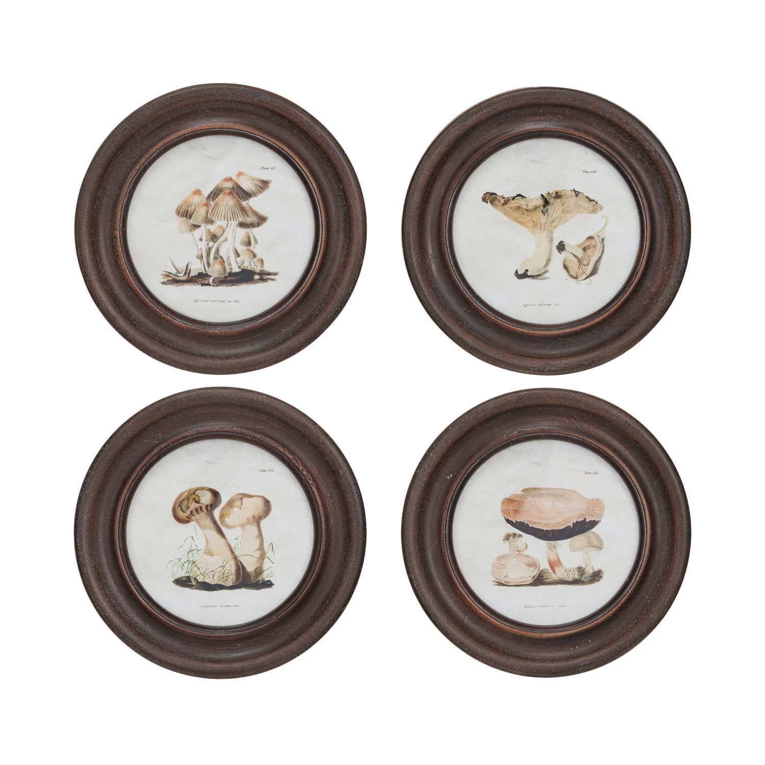 Mushroom Wall Decor, The Feathered Farmhouse