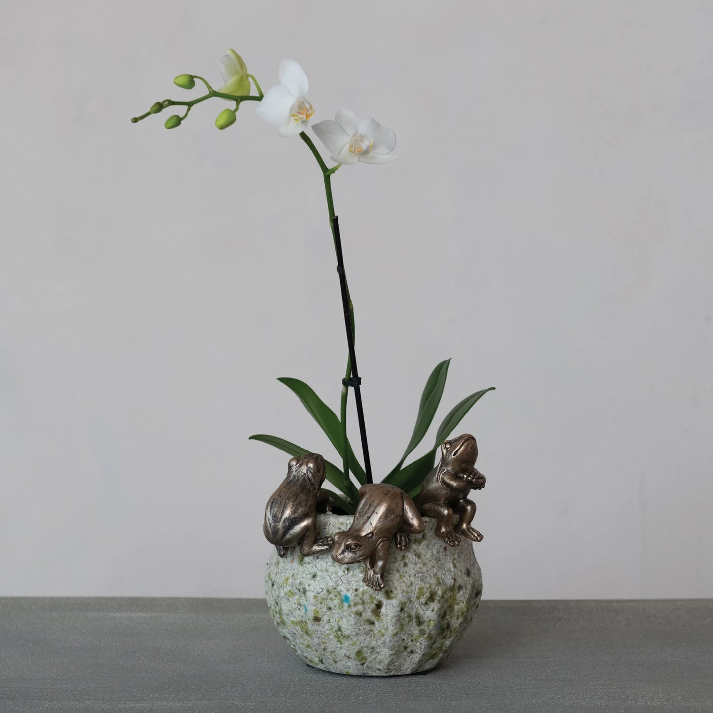 Frog Pot Hanger, Feathered Farmhouse