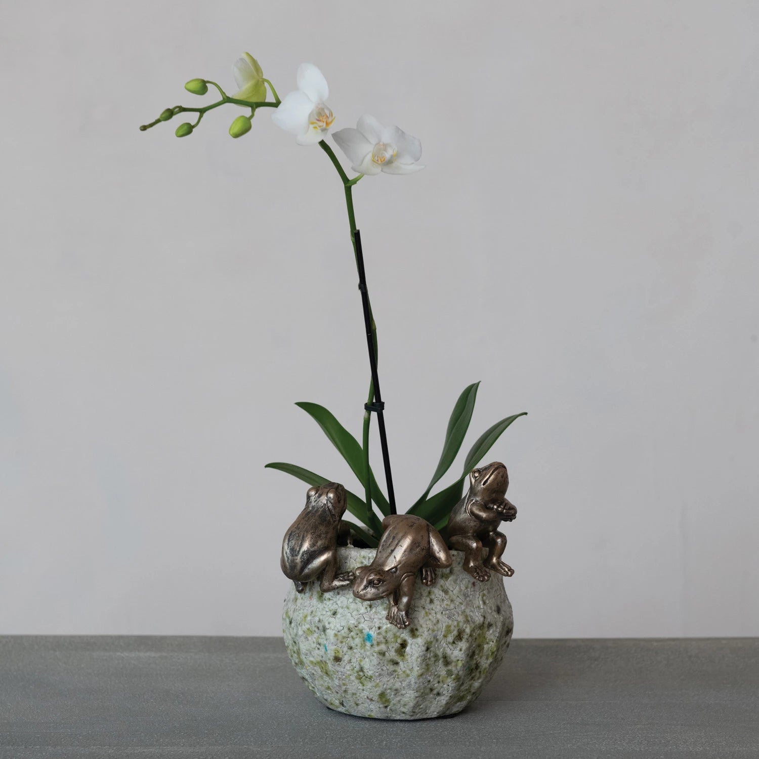 Frog Pot Hanger, Feathered Farmhouse