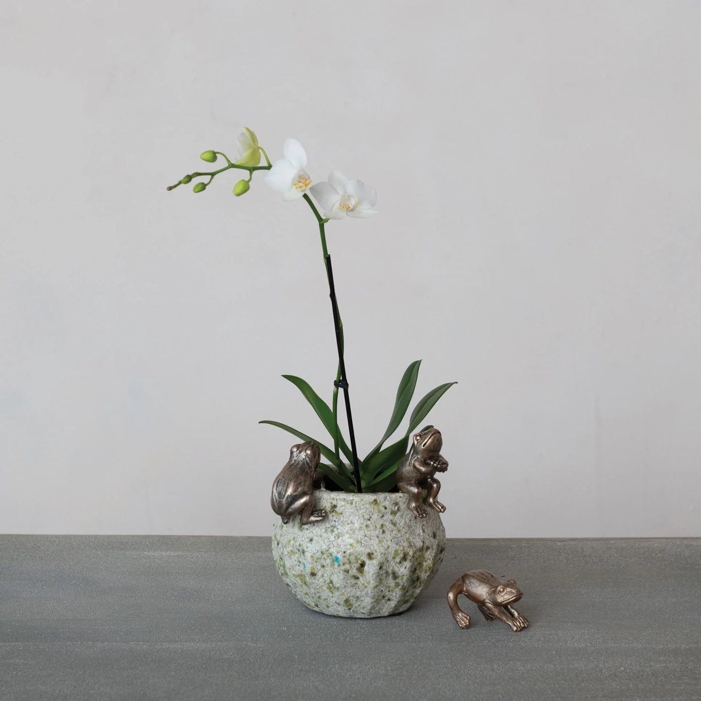 Frog Pot Hanger, Feathered Farmhouse
