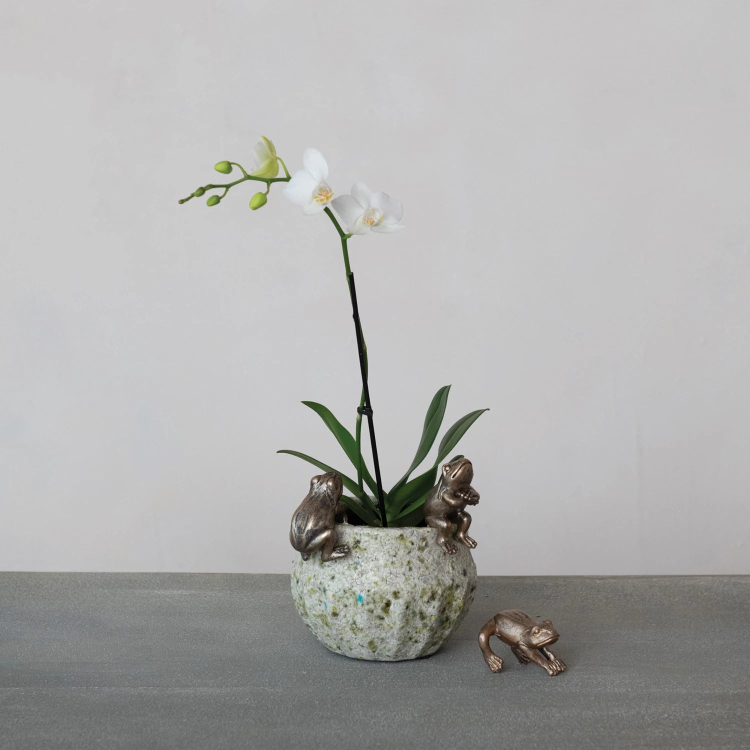 Frog Pot Hanger, Feathered Farmhouse