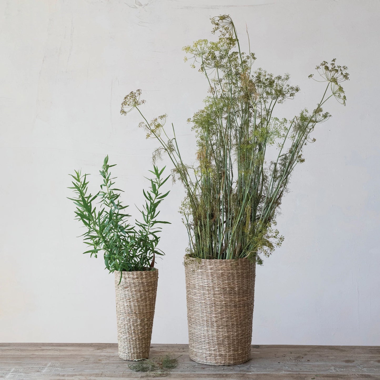 Hand-Woven Seagrass Basket with Faux Leather Handle, Feathered Farmhouse