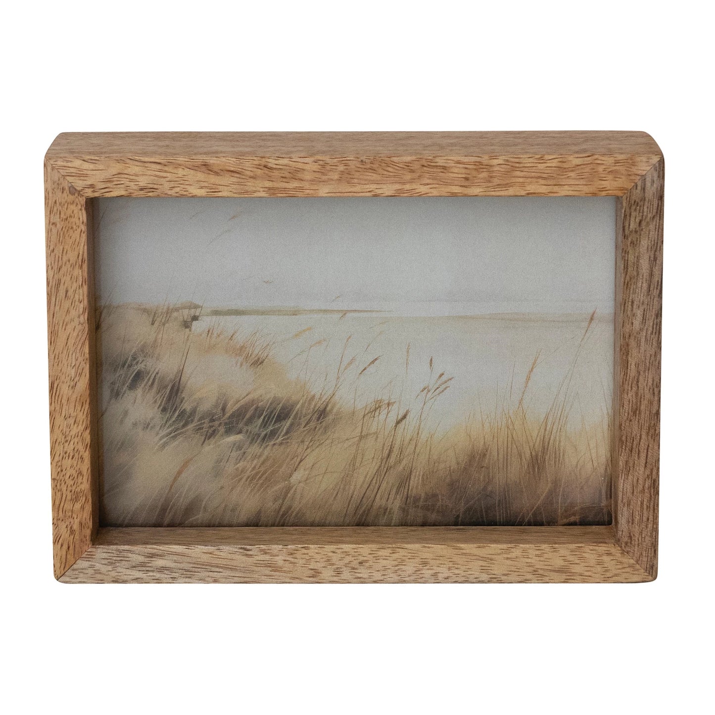 Floating Two-Sided Photo Frame, Feathered Farmhouse