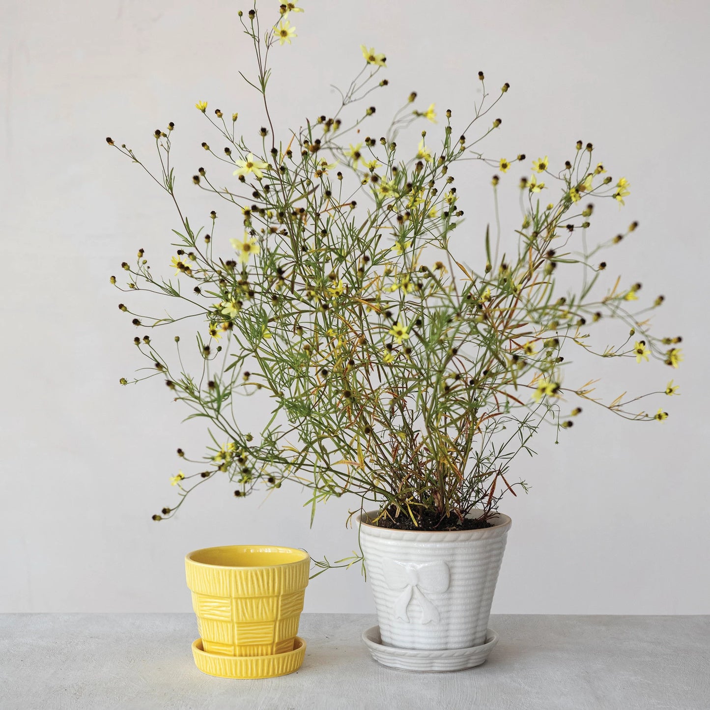 Stoneware Planter with Saucer, Feathered Farmhouse