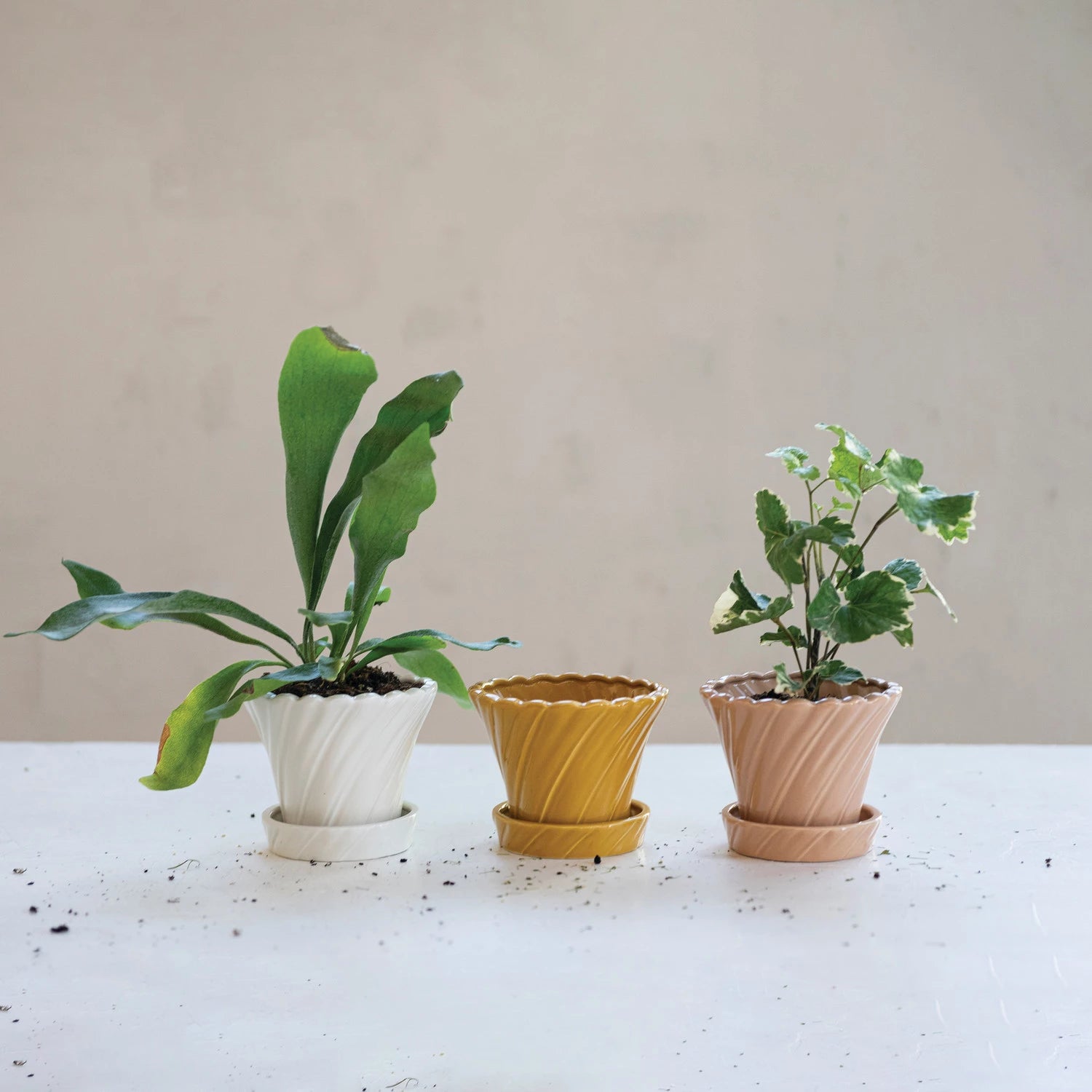 Stoneware Twisted Planter with Saucer, Feathered Farmhouse
