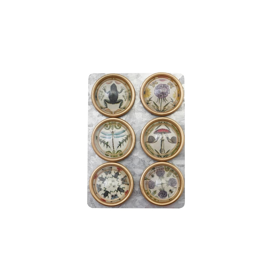 Resin Magnets with Animals & Botanicals, Feathered Farmhouse