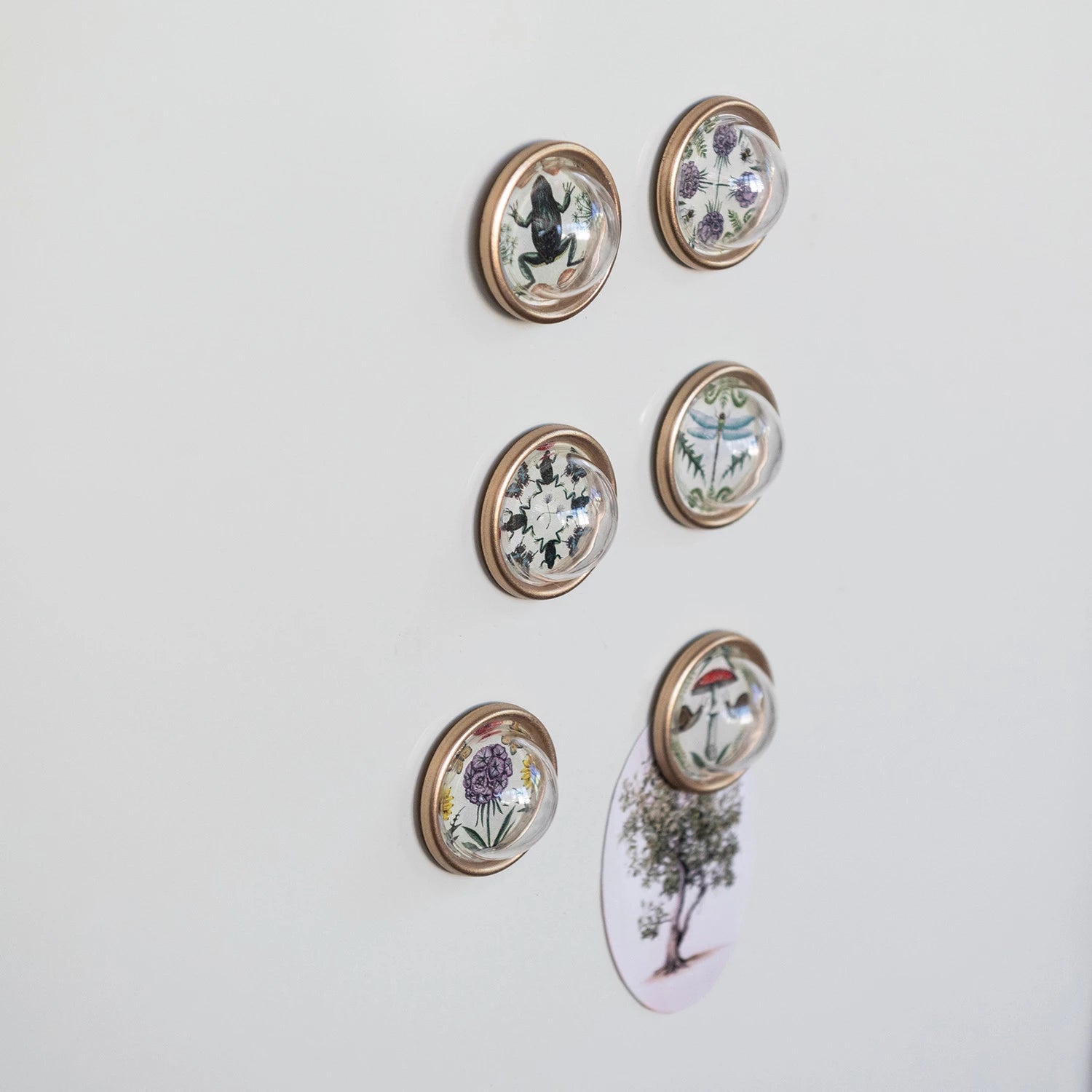 Resin Magnets with Animals & Botanicals, Feathered Farmhouse
