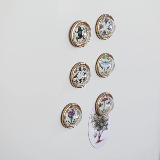 Resin Magnets with Animals & Botanicals, Feathered Farmhouse