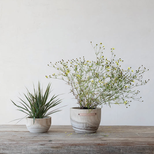 Decorative Paulownia Planters