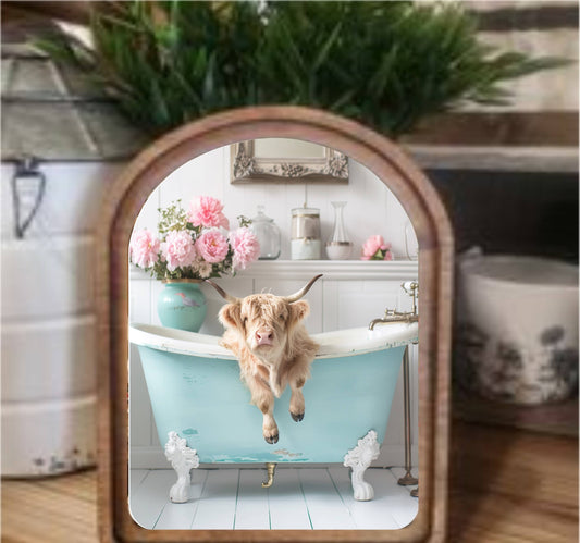 Aqua Highland in Tub Framed Art Arch Top, Feathered Farmhouse