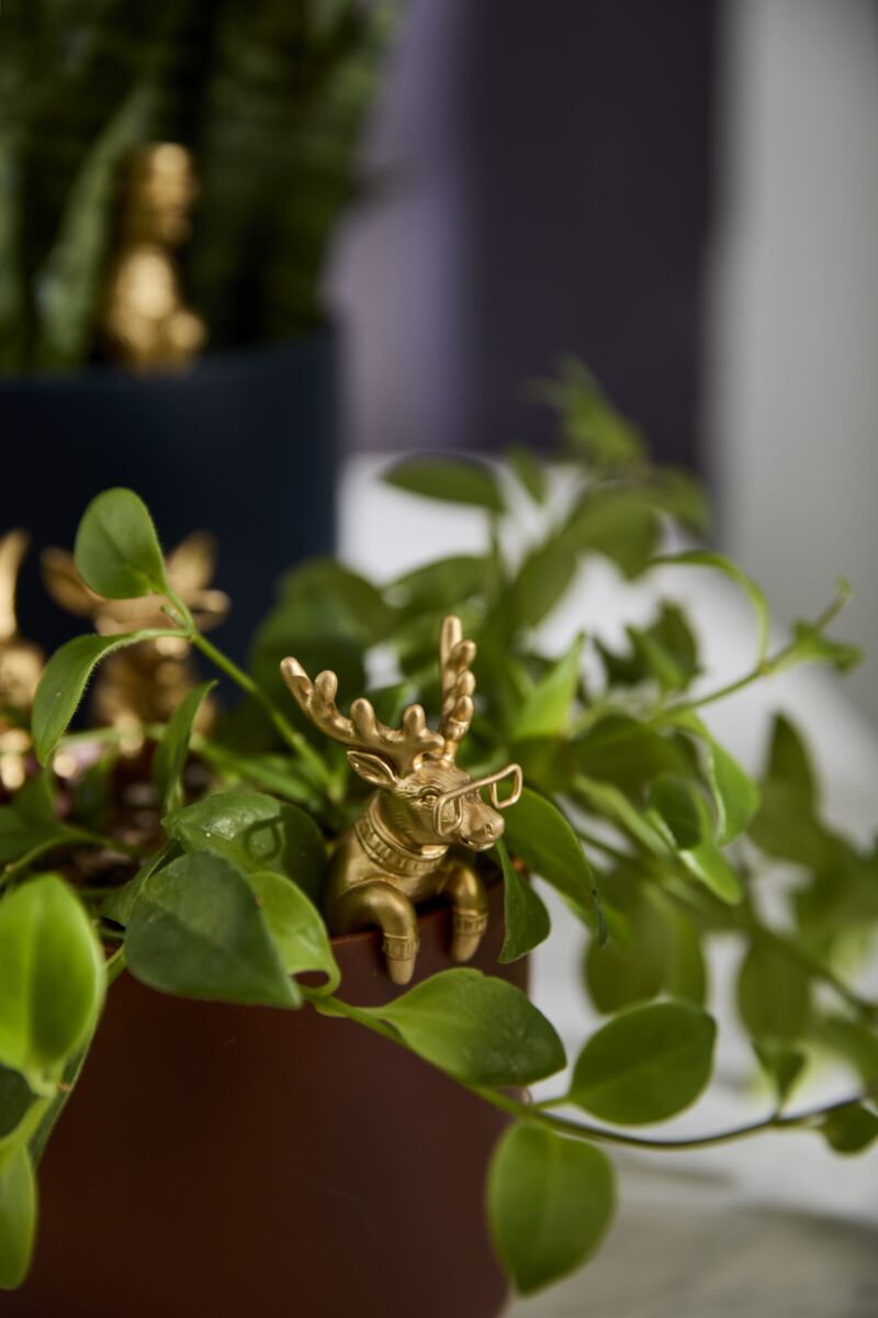 Gold Pot Huggers, The Feathered Farmhouse