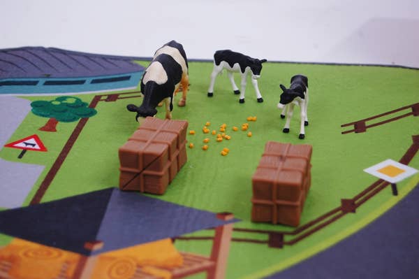 Farm Playmat