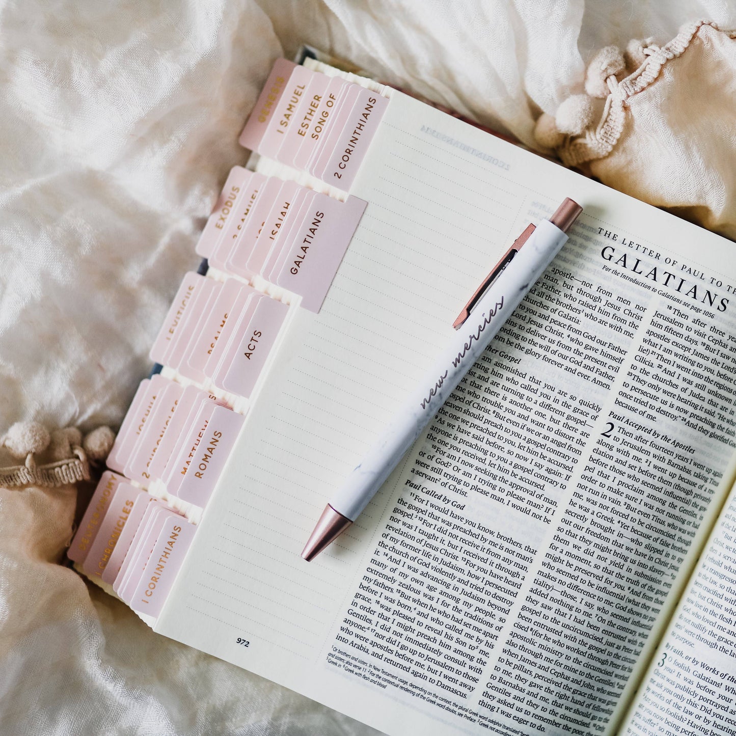 Blush Bible Tabs, Feathered Farmhouse