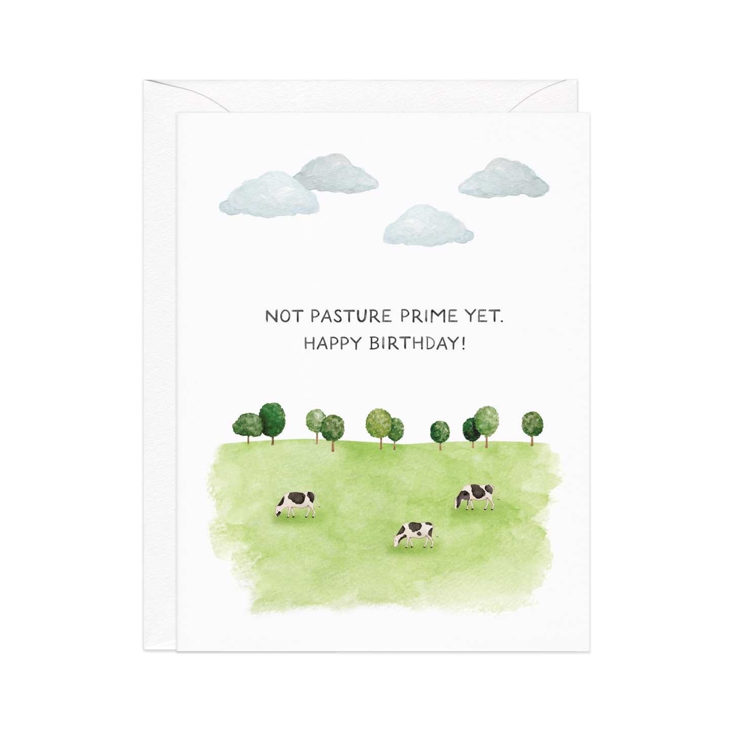 Not Past Your Prime Yet Birthday Card, Feathered Farmhouse