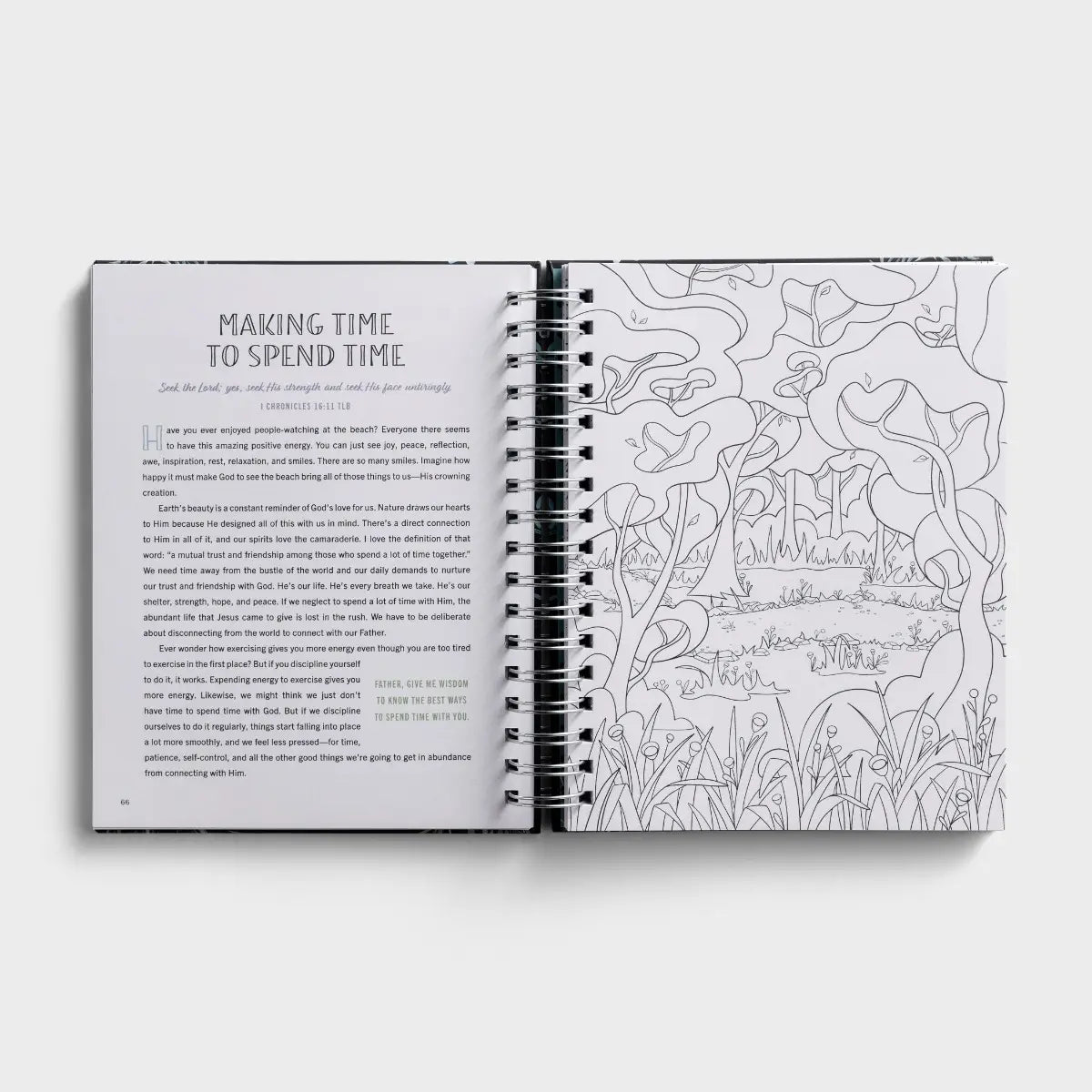 Be Still & Know: Devotional Coloring Book, Feathered Farmhouse