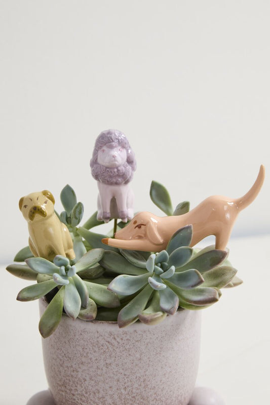 Playful Pups Plant Sticks, Feathered Farmhouse