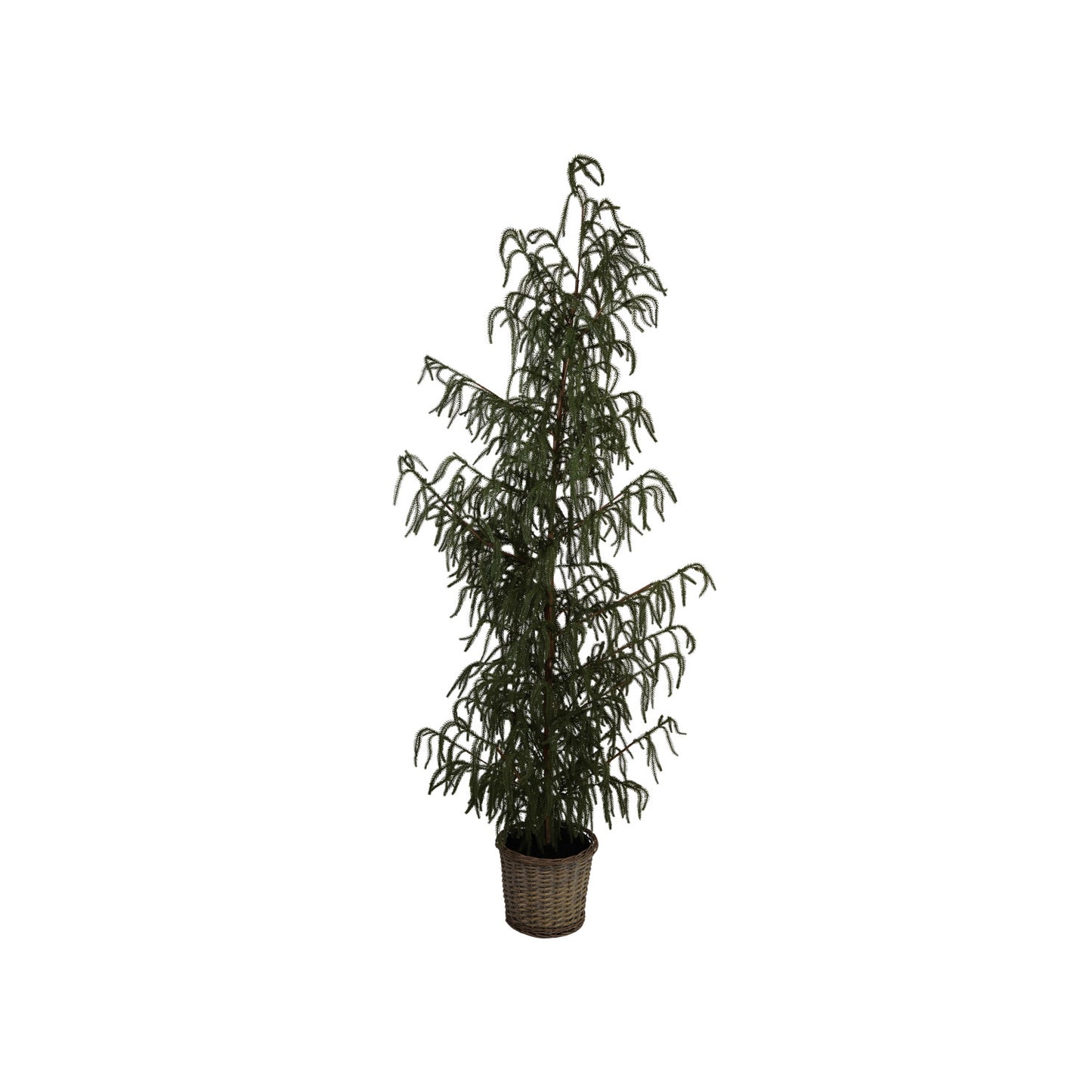 Faux Cedar Tree in Basket, Feathered Farmhouse