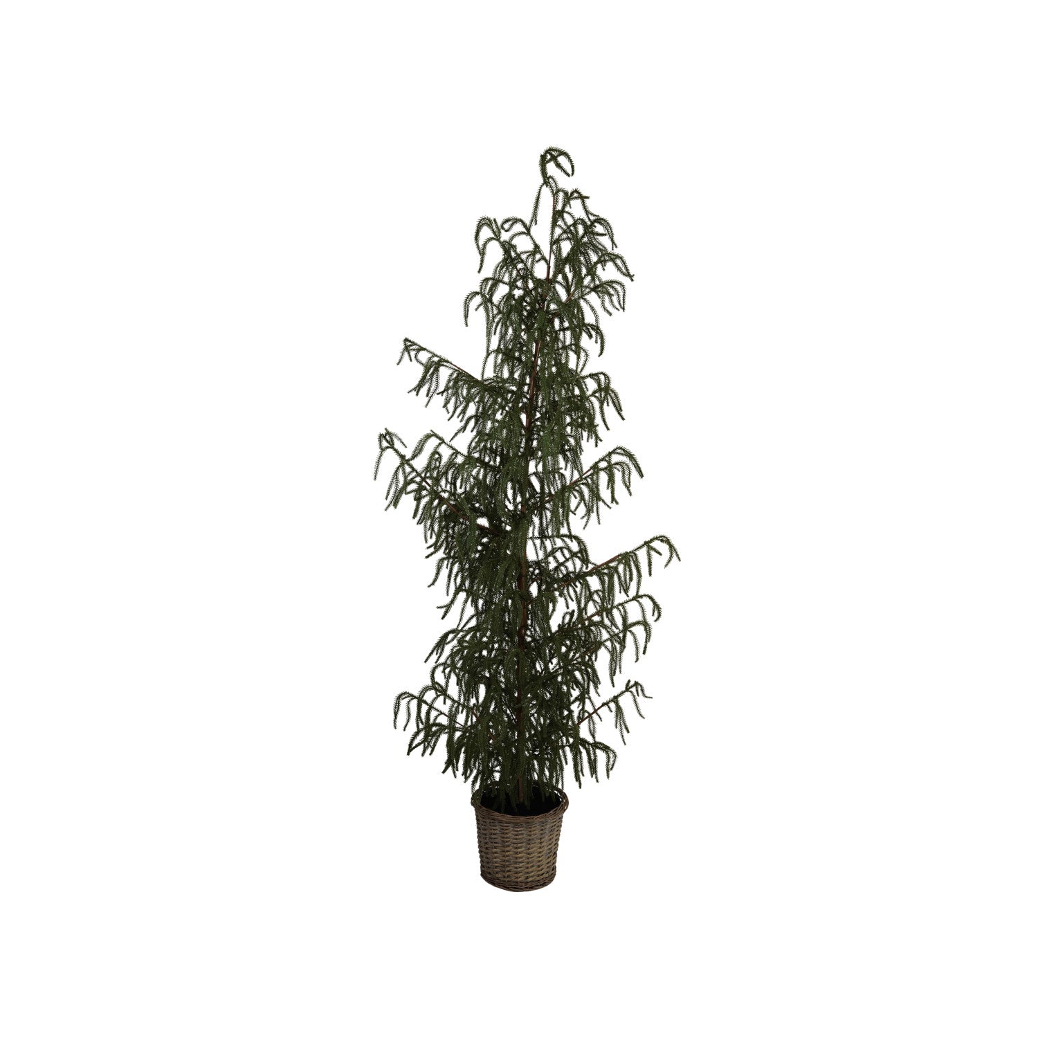 Faux Cedar Tree in Basket, Feathered Farmhouse