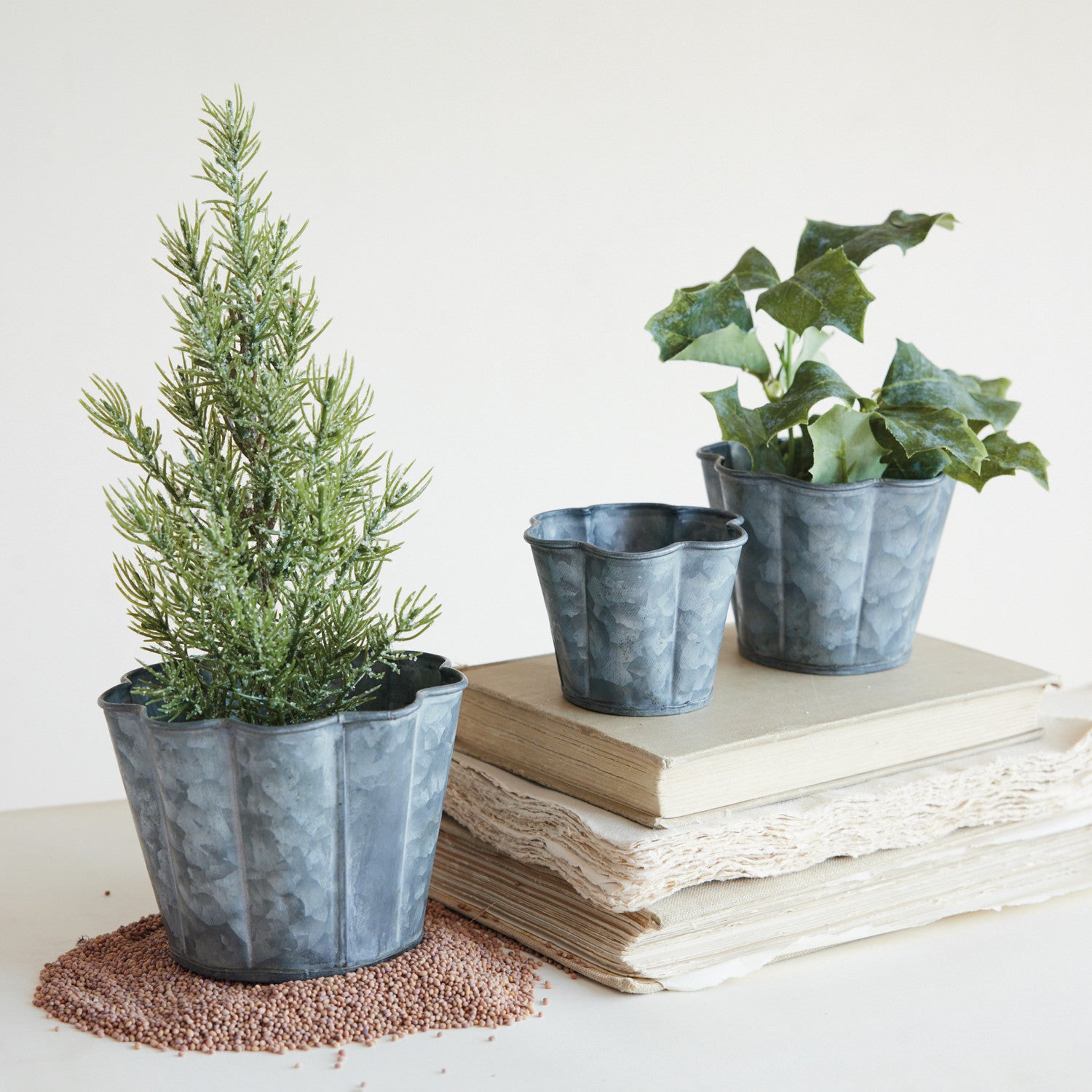 Galvanized Metal Scalloped Planter, Feathered Farmhouse