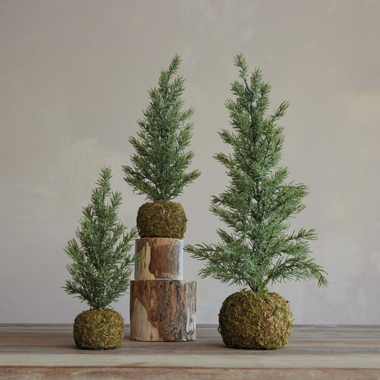 Fir Tree, Feathered Farmhouse