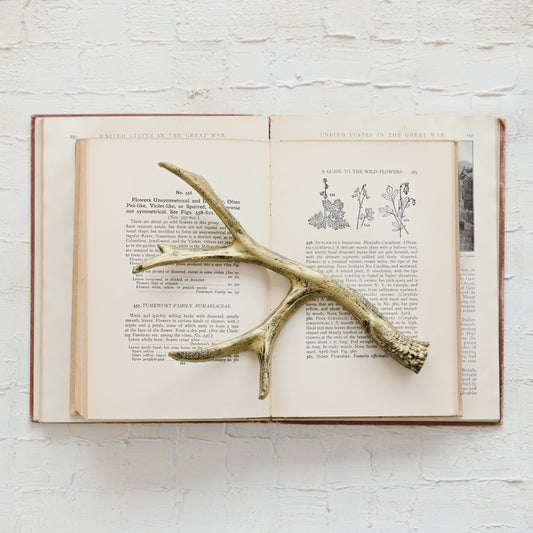 Cast Iron Antler, Feathered Farmhouse