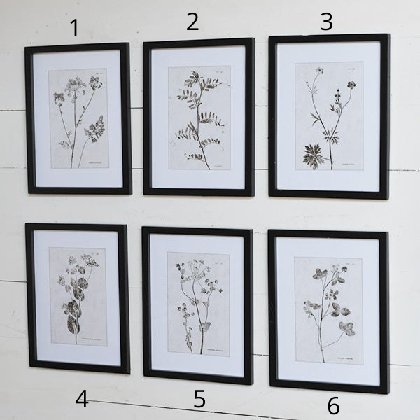 Botanical Wall Decor