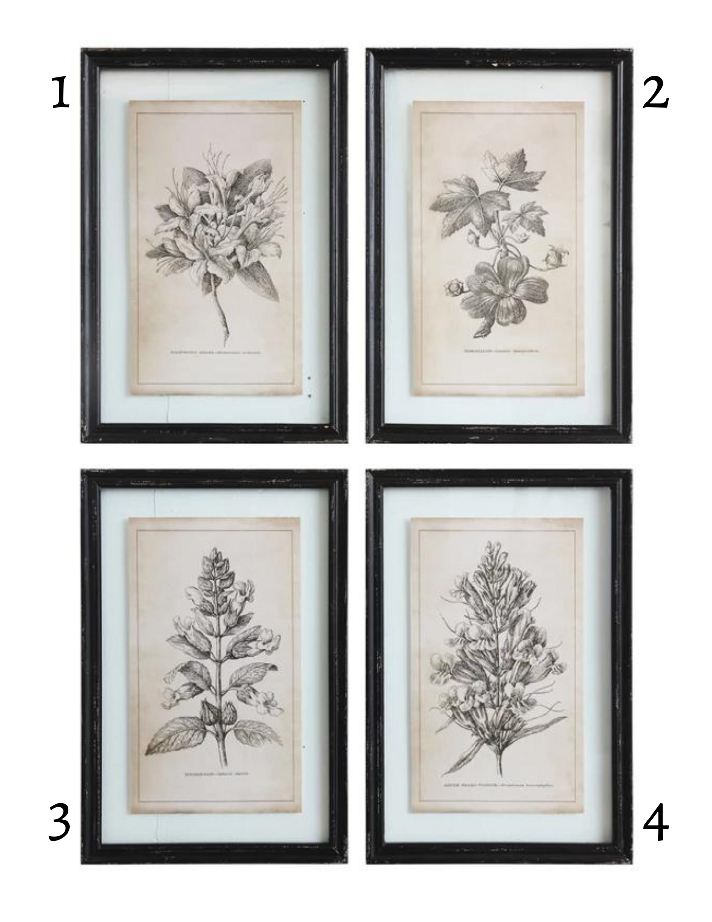 Framed Floral Wall Decor, The Feathered Farmhouse