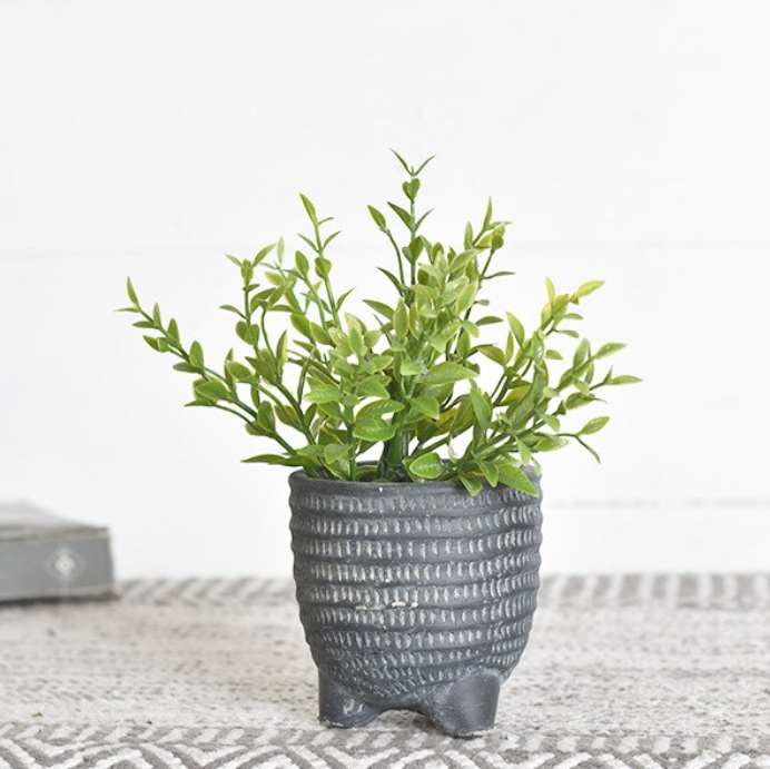 Pattern Cement Planter, The Feathered Farmhouse