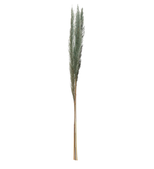 Dried Pampas Bunch, The Feathered Farmhouse