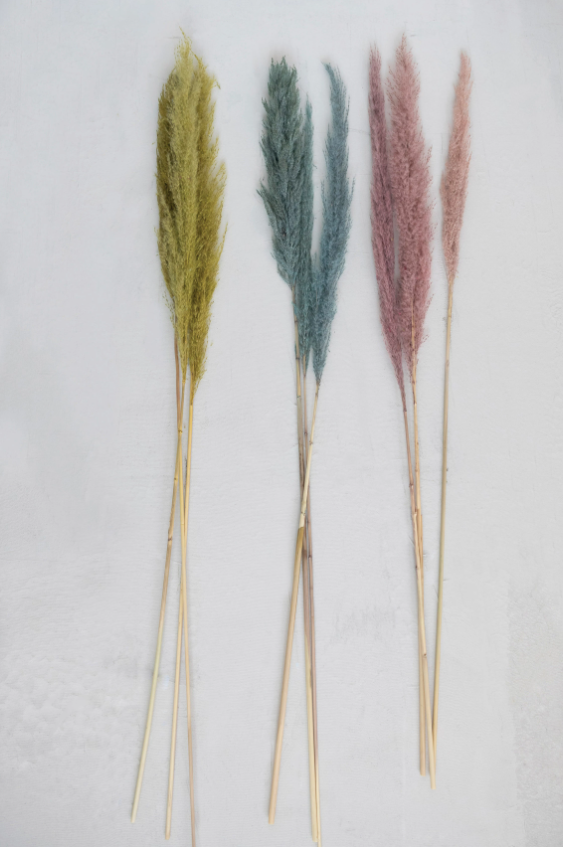 Dried Pampas Bunch, The Feathered Farmhouse