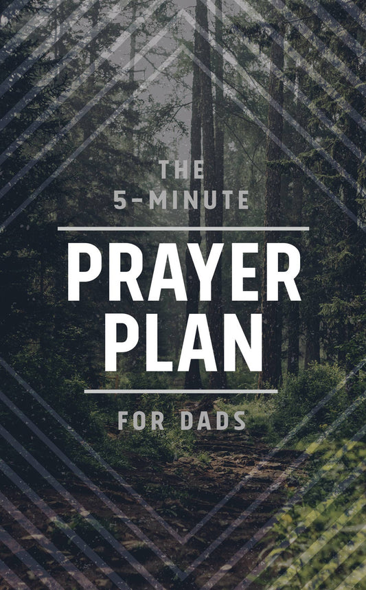 The 5-Minute Prayer Plan Devotional for Dads
