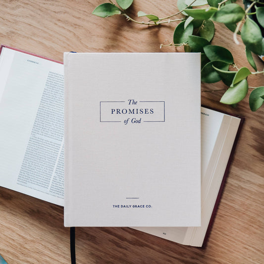 The Promises of God | Coffee Table Book, The Feathered Farmhouse