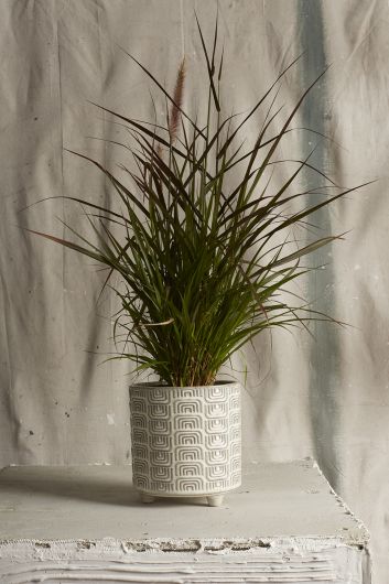 Itza Pot, The Feathered Farmhouse